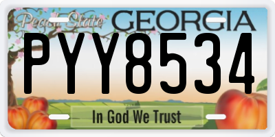 GA license plate PYY8534
