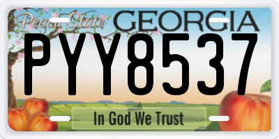 GA license plate PYY8537