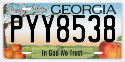 GA license plate PYY8538