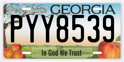 GA license plate PYY8539