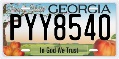 GA license plate PYY8540
