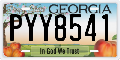 GA license plate PYY8541