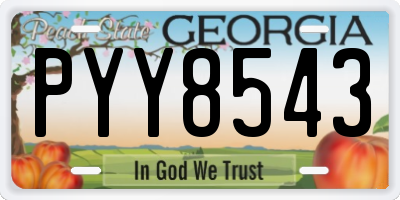 GA license plate PYY8543