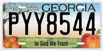 GA license plate PYY8544