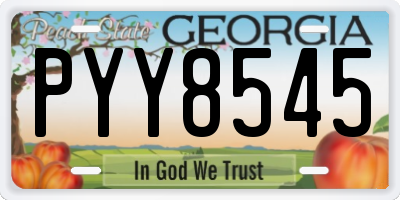 GA license plate PYY8545