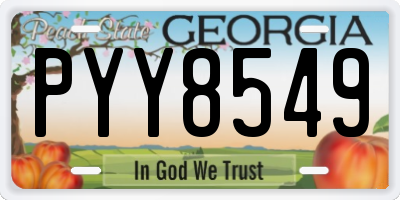 GA license plate PYY8549
