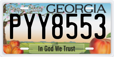 GA license plate PYY8553