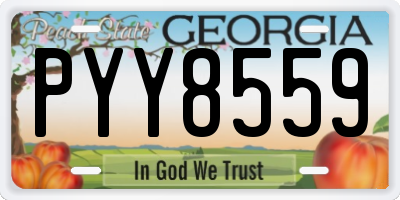 GA license plate PYY8559