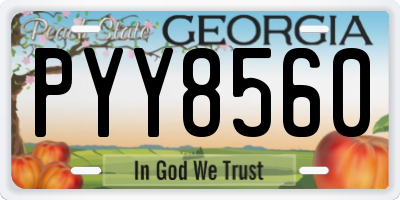 GA license plate PYY8560