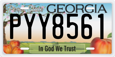 GA license plate PYY8561