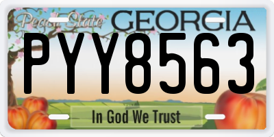 GA license plate PYY8563