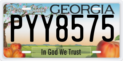 GA license plate PYY8575