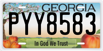 GA license plate PYY8583