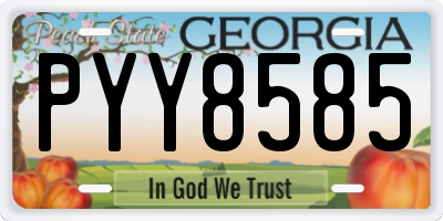 GA license plate PYY8585