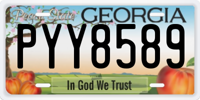 GA license plate PYY8589