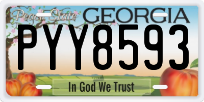 GA license plate PYY8593