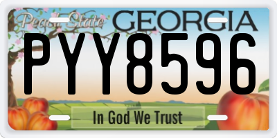 GA license plate PYY8596