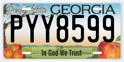 GA license plate PYY8599