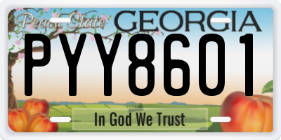GA license plate PYY8601