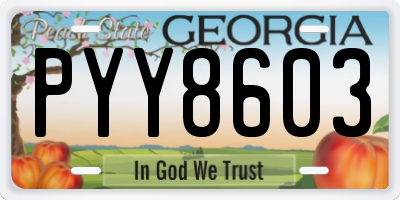 GA license plate PYY8603