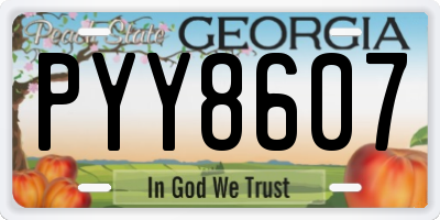GA license plate PYY8607