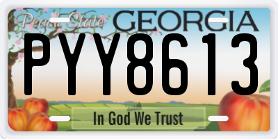 GA license plate PYY8613