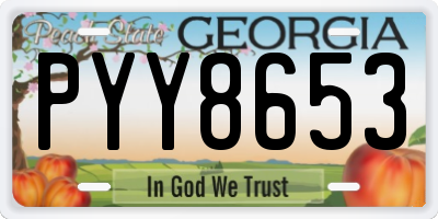 GA license plate PYY8653