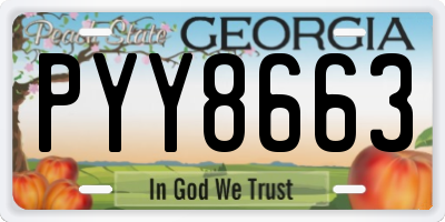 GA license plate PYY8663
