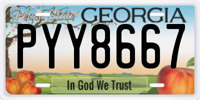 GA license plate PYY8667