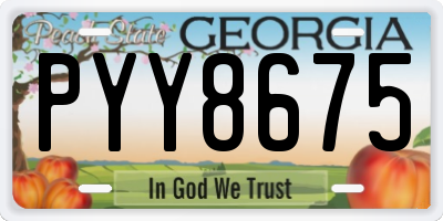 GA license plate PYY8675