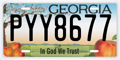 GA license plate PYY8677