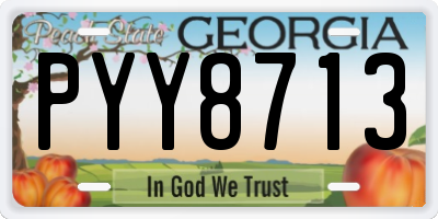 GA license plate PYY8713