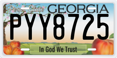 GA license plate PYY8725