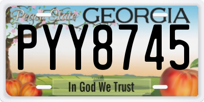 GA license plate PYY8745