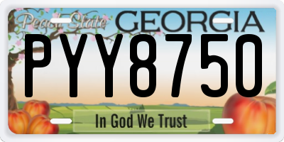 GA license plate PYY8750