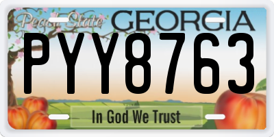 GA license plate PYY8763