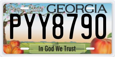 GA license plate PYY8790