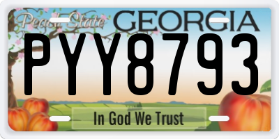 GA license plate PYY8793