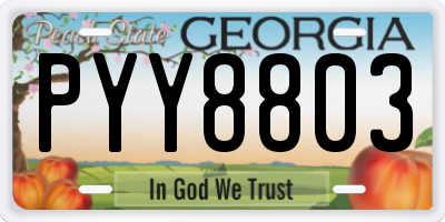 GA license plate PYY8803