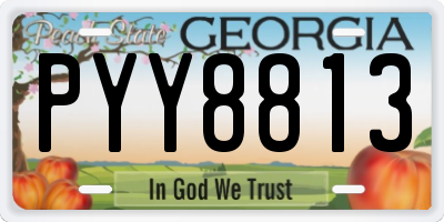 GA license plate PYY8813