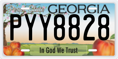 GA license plate PYY8828