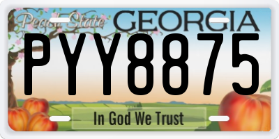 GA license plate PYY8875