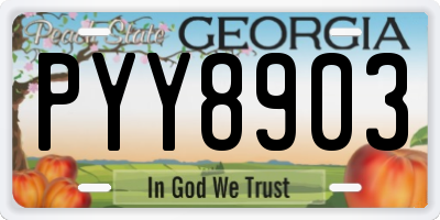GA license plate PYY8903