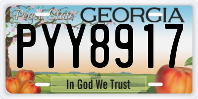 GA license plate PYY8917