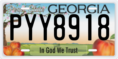 GA license plate PYY8918