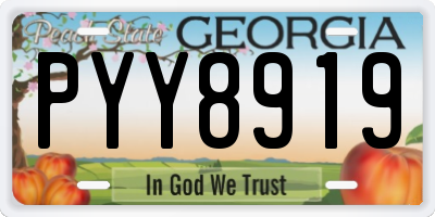 GA license plate PYY8919