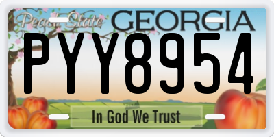 GA license plate PYY8954