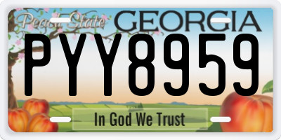 GA license plate PYY8959