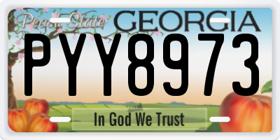 GA license plate PYY8973