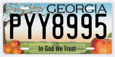 GA license plate PYY8995